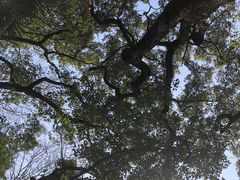 -上海市工艺美术博物馆