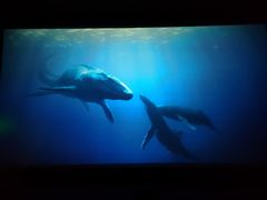 -星轶IMAX影城(九亭U天地旗舰店)