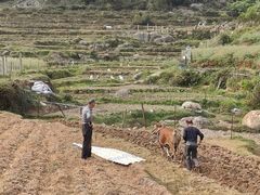 -大姆山草场