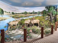 -北京麋鹿生态实验中心