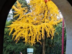 -无锡惠山寺