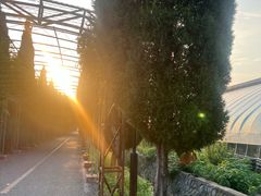 -兰陵国家农业公园