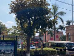 -广州逸林假日酒店·四季桃源中餐厅(白云山风景区店)