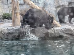 -上海野生动物园