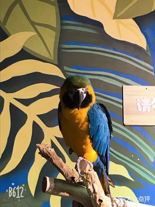 萌宠奇缘(荣鼎店)图片