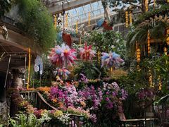 -正佳雨林生态植物园