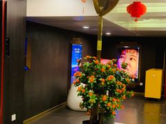 -SFC上影百联影城(八佰伴IMAX店)