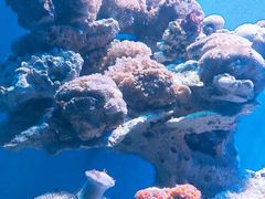 -海合安武汉极地海洋公园