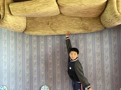 -金山农民画村-枫泾波兰倒置屋