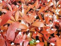 -酒宝荡烧烤(长航局江大路住宅小区店)