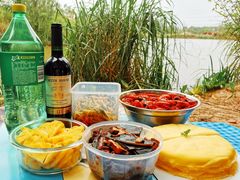 -桤木河湿地公园