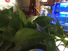 -姜君·千岛湖鱼头馆(浦东大道店)