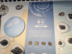 -浙江自然博物院(杭州馆)