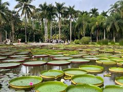 -中国科学院西双版纳热带植物园
