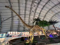 -辽宁古生物博物馆
