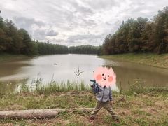 -上海海湾国家森林公园