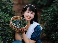 -金谷域澳洲庄园