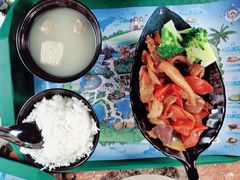 桑巴酱鸡柳饭-雨林餐厅(长隆海洋王国店)