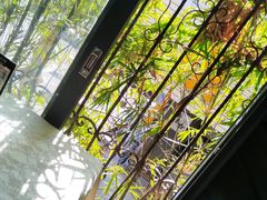 -贵州人家·酸汤火锅·20年老字号