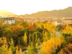 -浙江农林大学(东湖校区)