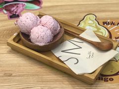 -野人先生现做冰淇淋(北京环宇荟店)