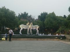 -鹭江潮餐厅•福建菜(鹭江佲家酒店)