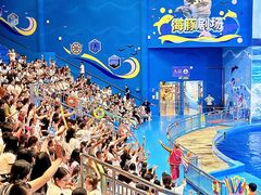 -多彩贵州城极地海洋世界