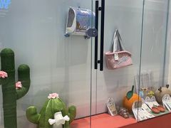 -babydoll猫舍·米努特·德文·缅因(久光中心店)