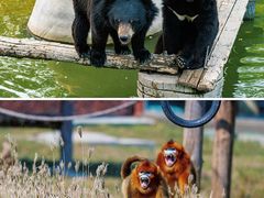 -济南野生动物世界