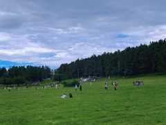 -武陵山森林公园