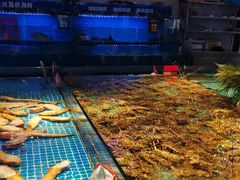 -驻海渔市(置信店)