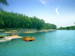 -广东茂名森林公园