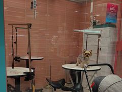 -FAELING PETS美天灵宠物(合生汇店)