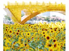 景点-海心沙亚运公园