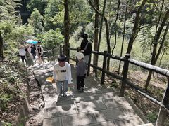 -石台牯牛降景区