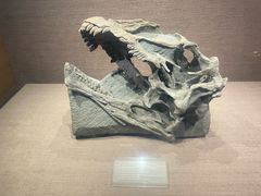 -自贡恐龙博物馆