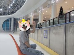 -世界之窗阿尔卑斯冰雪世界