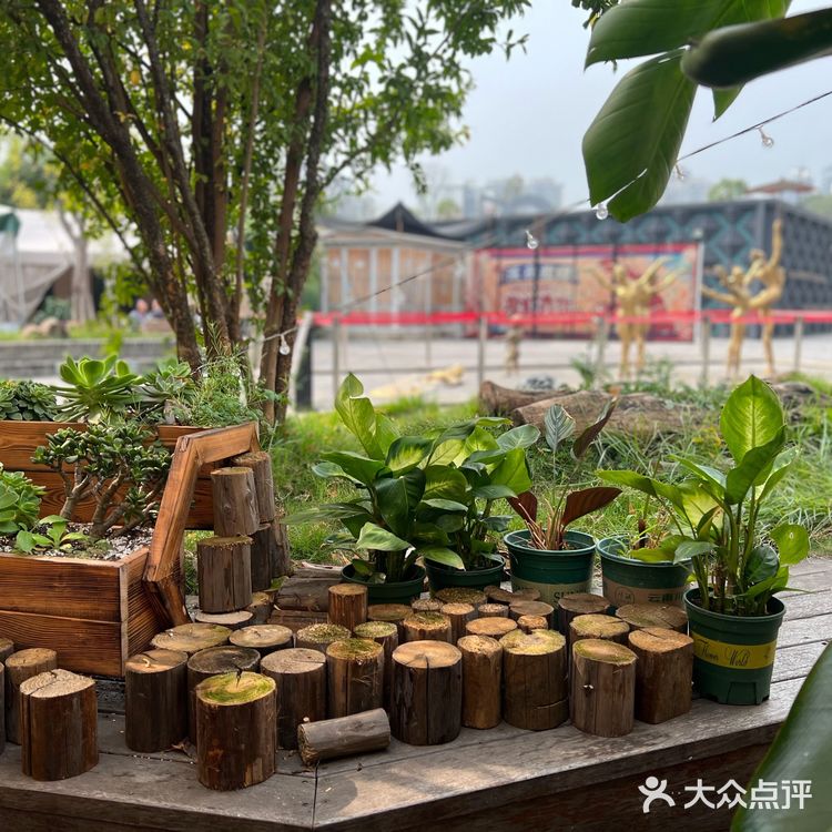 成都露营风烤肉 野招呼