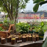 成都露营风烤肉 野招呼