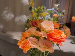 -Tomacado花厨(One ITC店)