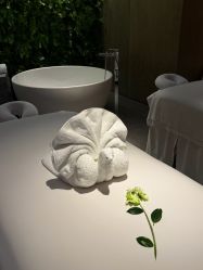 -VELEE·SPA高定疗愈会所