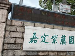 -嘉定紫藤园