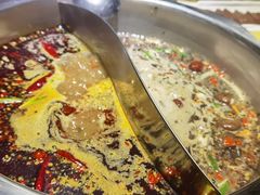 特色麻辣拼菌汤锅-重庆锦火锅(惠福东路店)