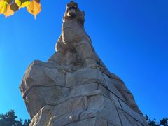 -帽儿山国家森林公园