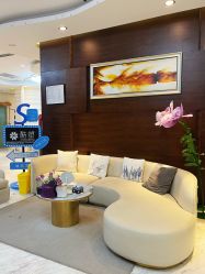 -洁铭新加坡医美