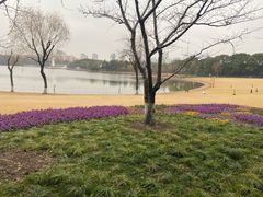 -黄兴公园