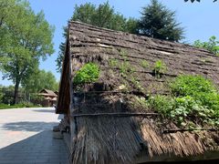 -太阳部落