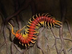 -香港海洋公园
