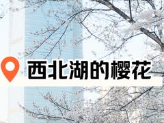 -西北湖绿化广场