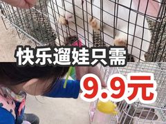 -前小桔亲子创意农场·草莓采摘·露营烧烤